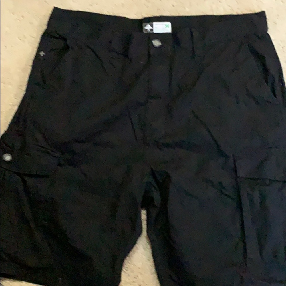 Lrg cargo shorts